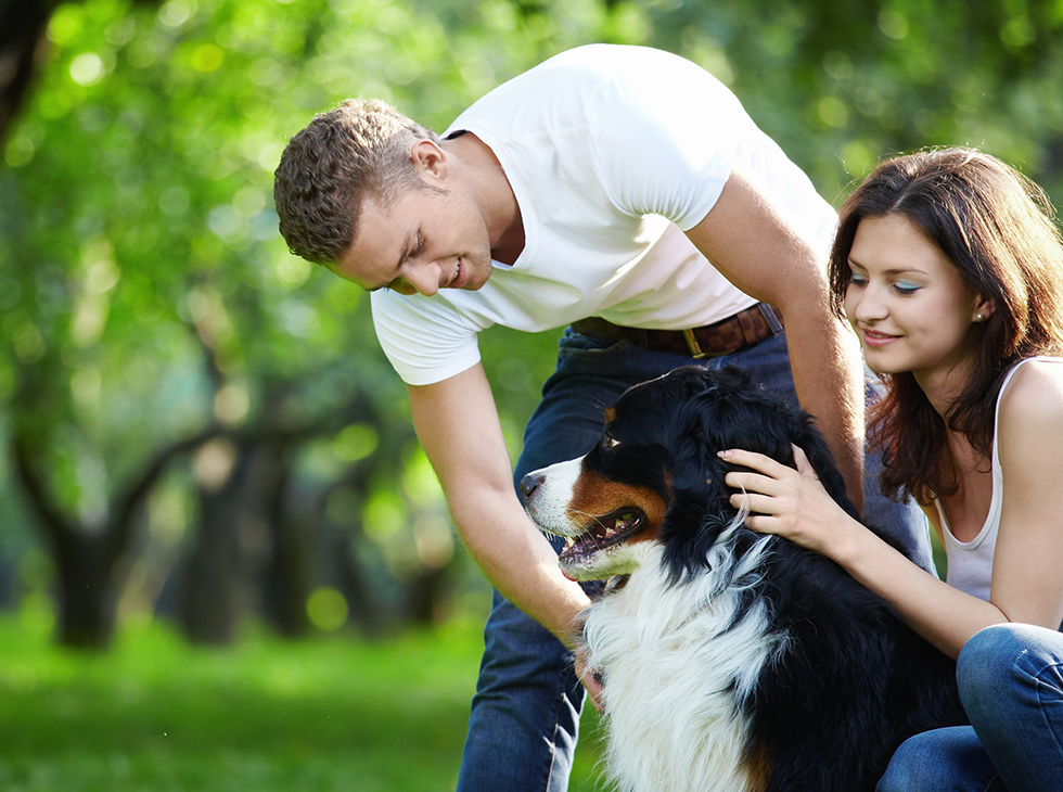 https://luckydogpetcare.com/wp-content/uploads/2019/07/hero_image_10.png
