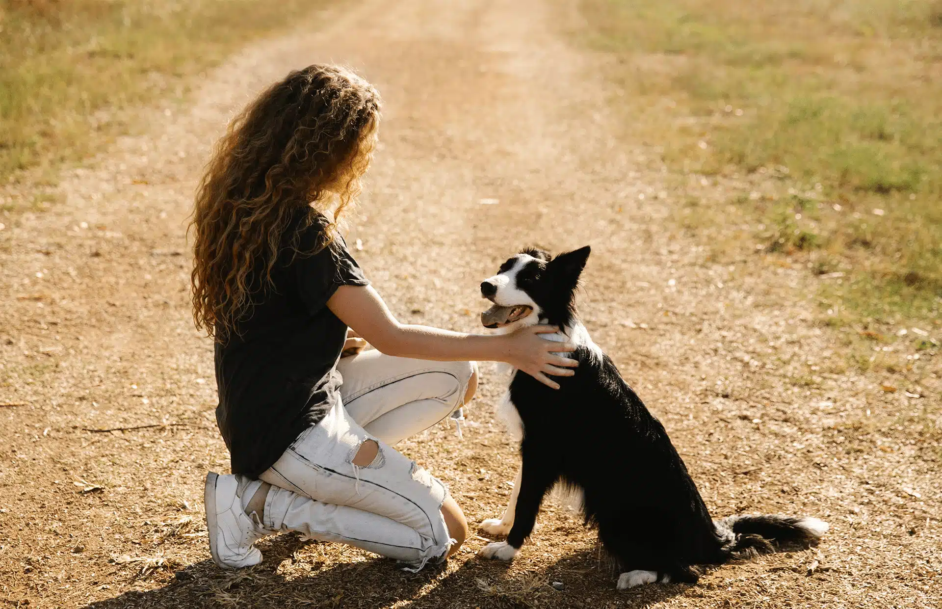 Attentive Jacksonville Dog Walker Dog walker kneeling beside a dog before a scheduled neighborhood walk