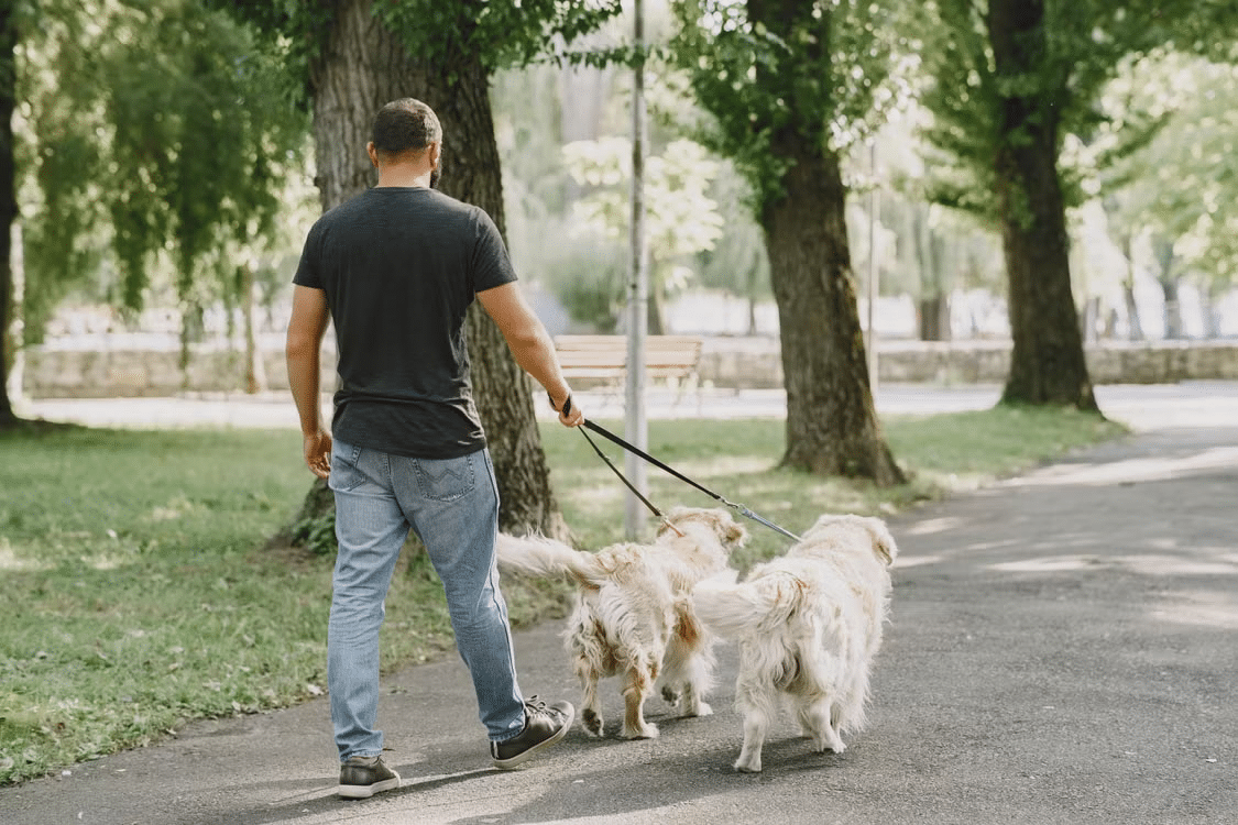 Dog Walker Jacksonville FL | Lucky Dog Pet Care & Waste Removal Dog walker walking a leashed dog in a Jacksonville FL neighborhood