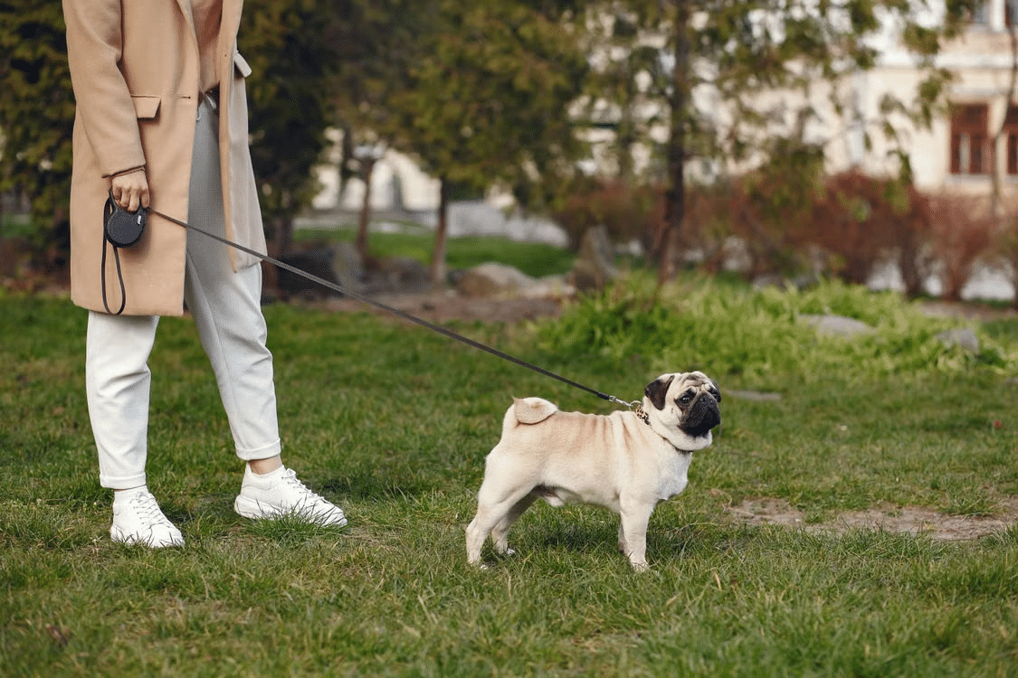 Dog Walker Jacksonville FL | Lucky Dog Pet Care & Waste Removal Dog walker walking a leashed dog in a Jacksonville FL neighborhood