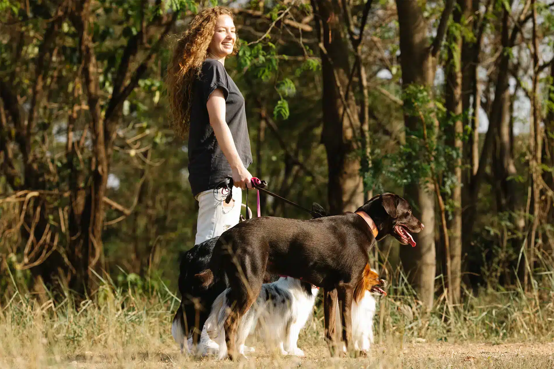 Jacksonville Dog Walker With Leashed Dog Jacksonville dog walker walking a leashed dog on a residential park