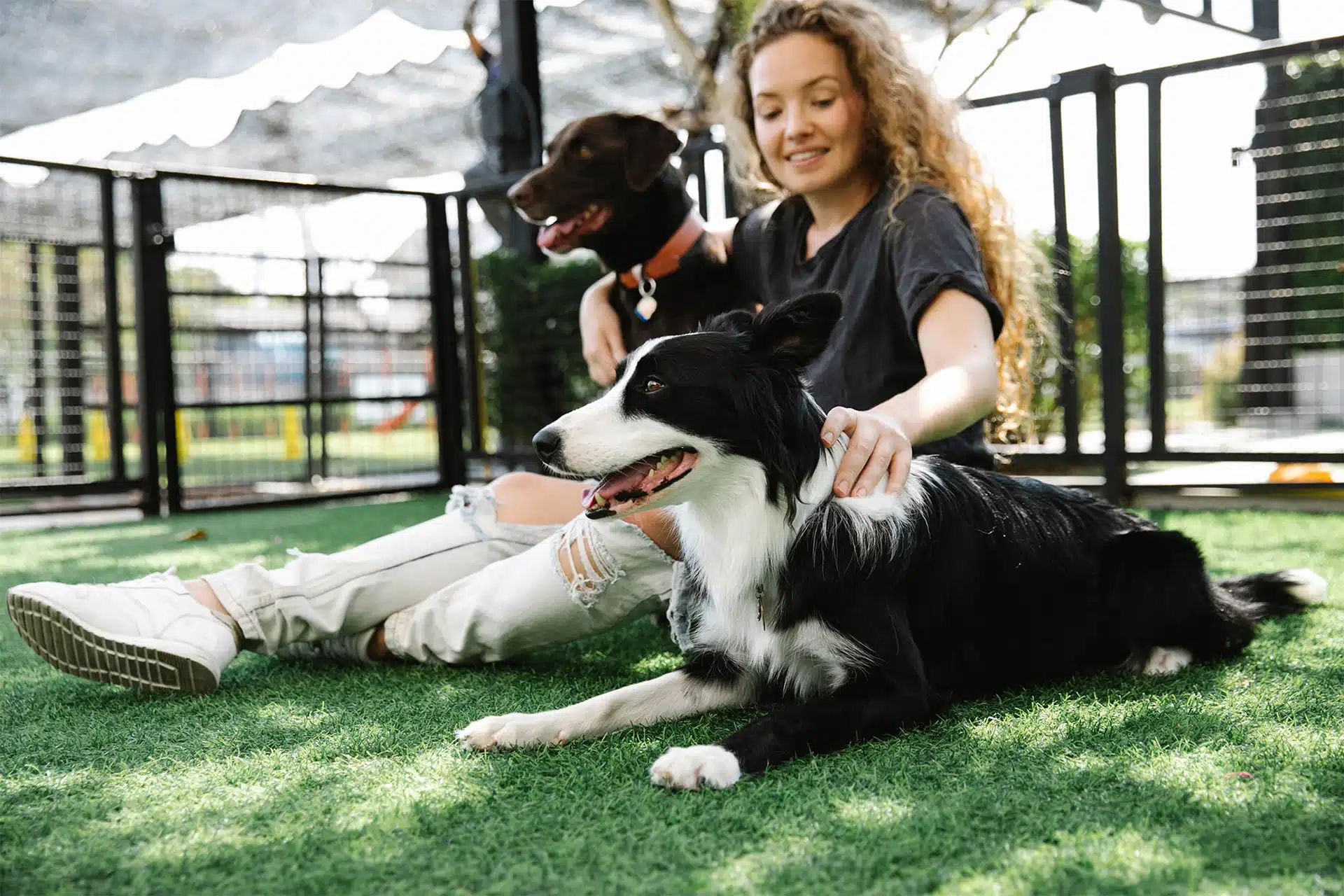 Pet Sitter in Jacksonville, FL | Lucky Dog Pet Care Jacksonville pet sitter spending time with a dog during an in-home visit