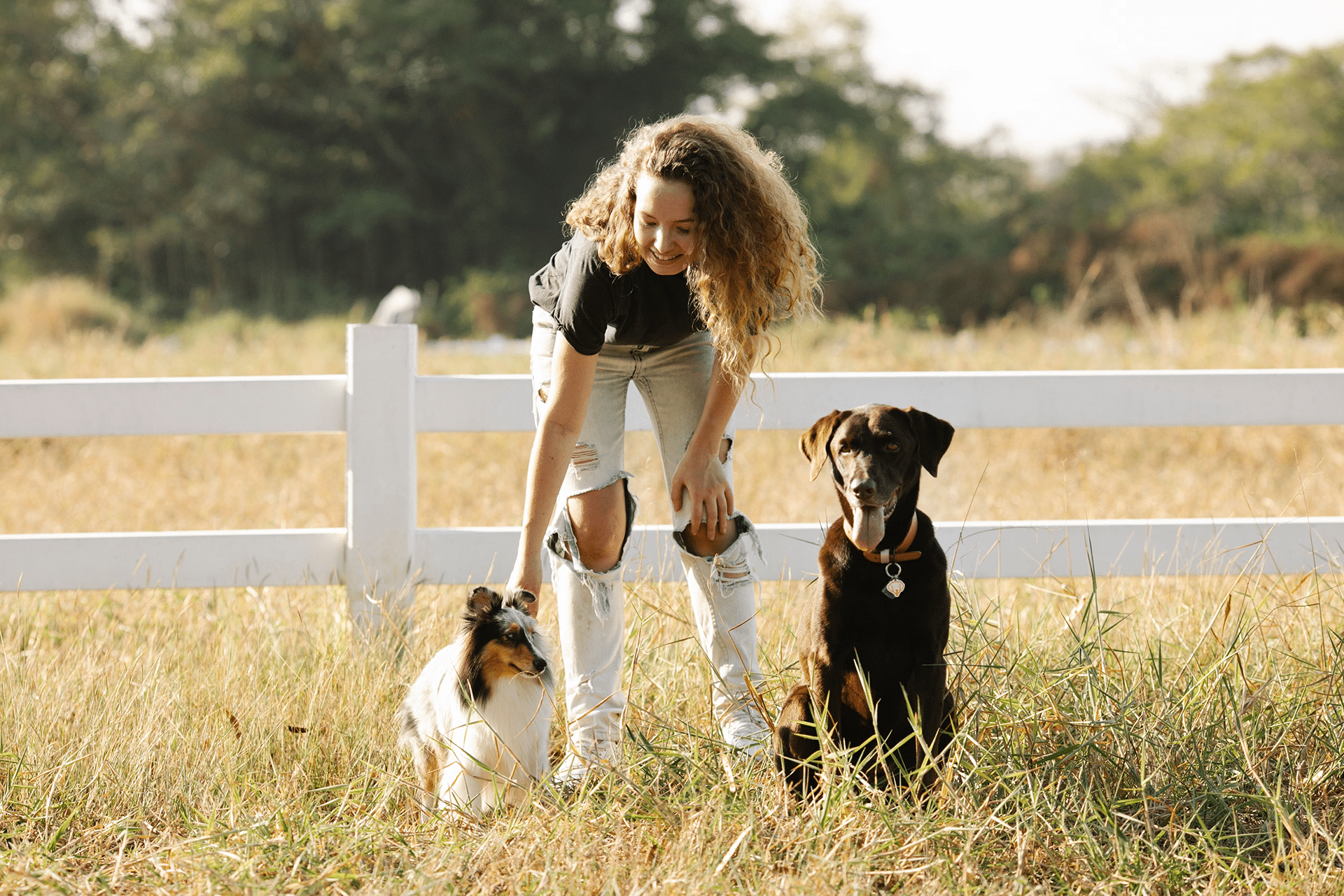 pet-sitter-jacksonville-fl-8 https://luckydogpetcare.com/wp-content/uploads/2026/07/pet-sitter-jacksonville-fl-8-1.png