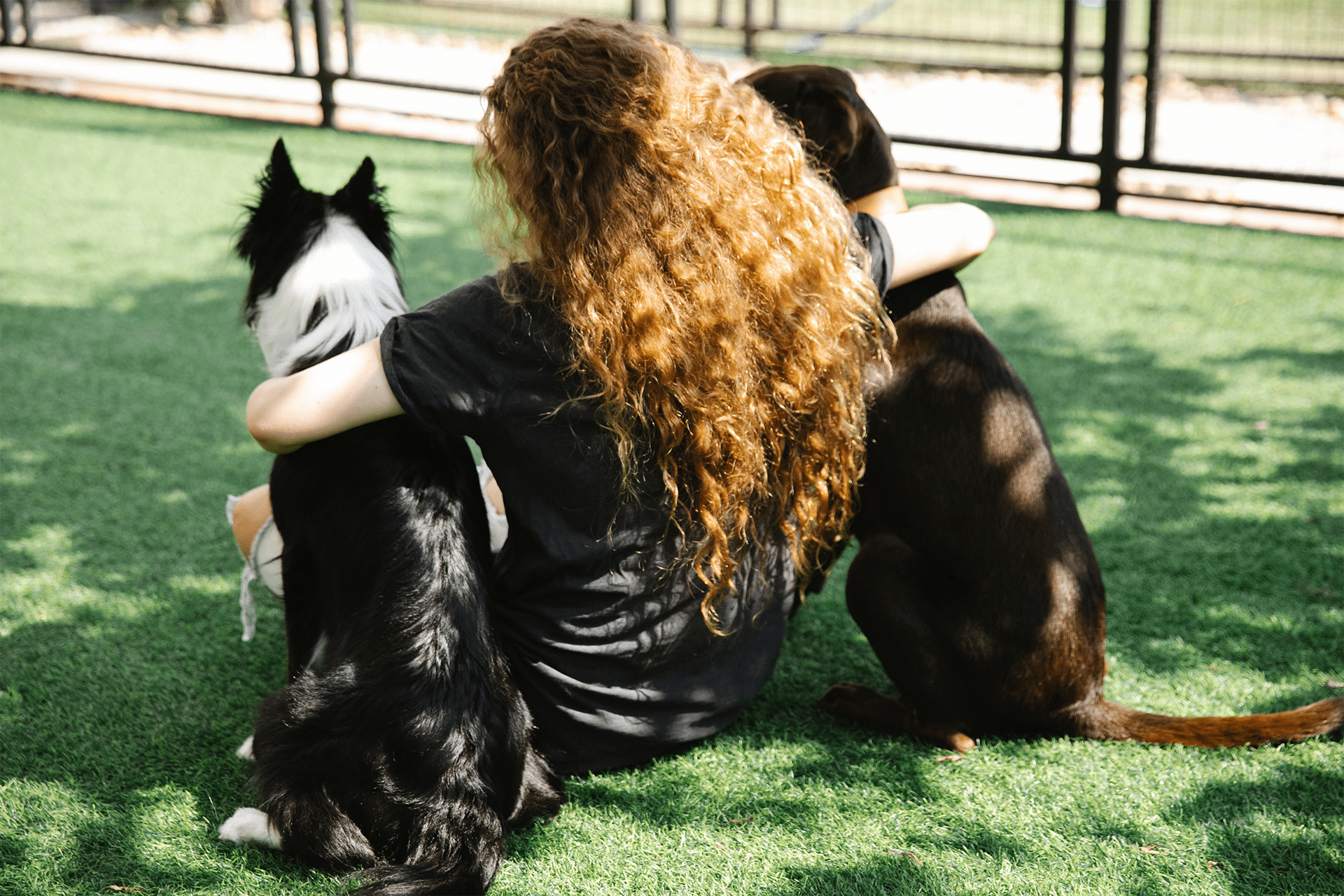 Personalized Dog Walking and Companionship Woman sitting outdoors with a dog after a scheduled neighborhood walk