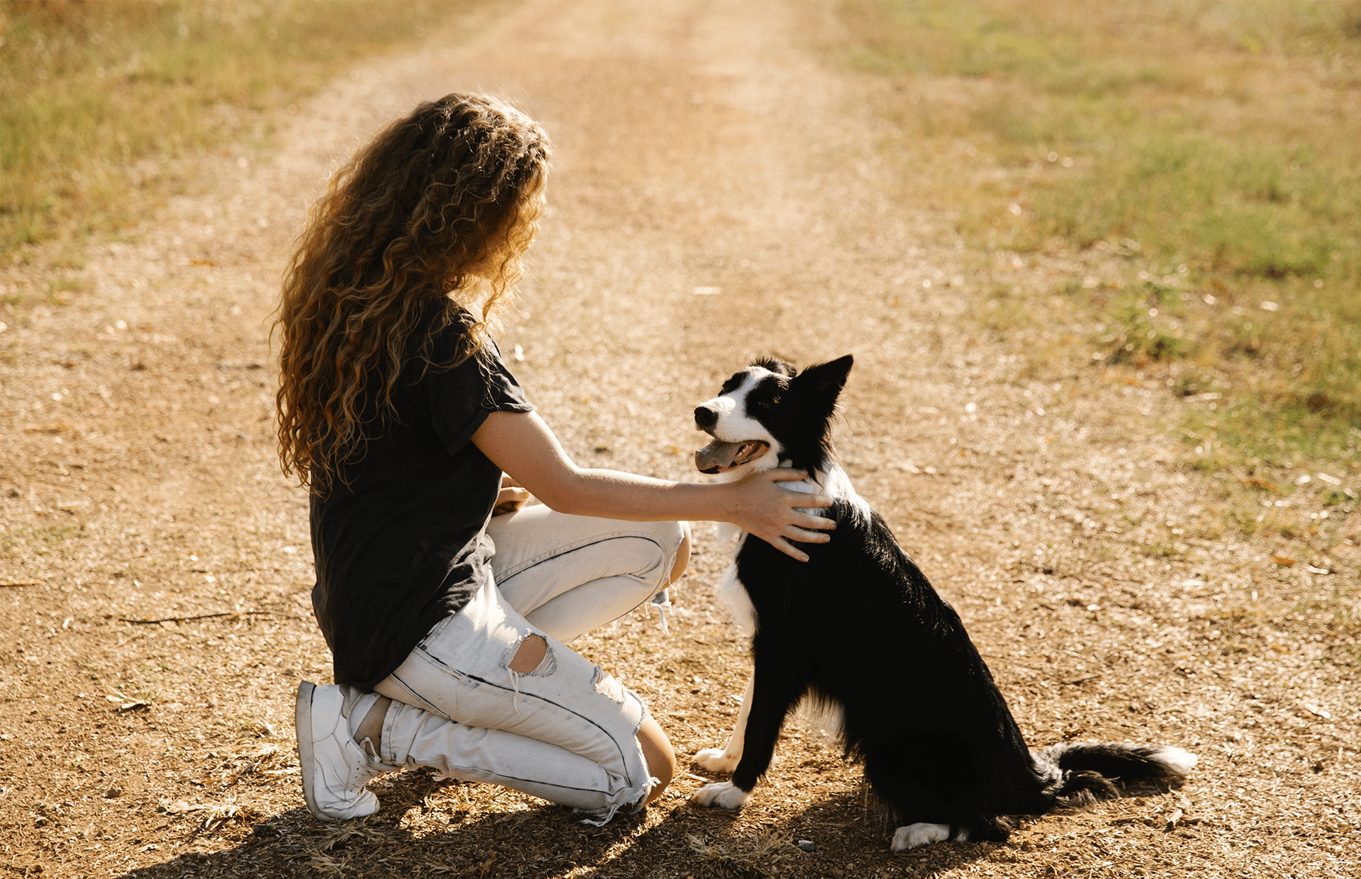 Pet Sitter Jacksonville FL | Lucky Dog Pet sitter caring for a dog inside a Jacksonville FL home