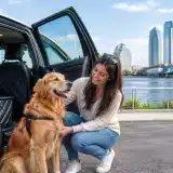 When a Pet Taxi Makes Life Easier in Jacksonville